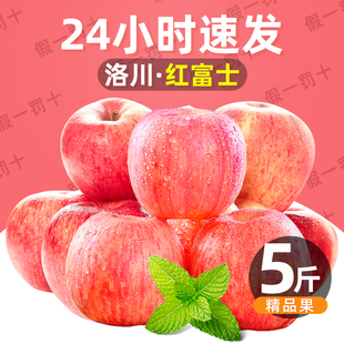 陕西洛川红富士苹果2.5kg 单果重240g+ 水果新鲜脆甜平果整箱