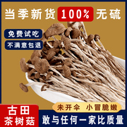 古田特产茶树菇干货特级不开伞新鲜营养菌菇500g香菇煲汤食材菌类