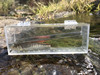 路亚盒飞蝇钓野采亚克力，鱼盒透明水晶观察盒，带刻度尺便携式观鱼