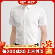 男士白色衬衫长袖正装免烫打底内搭短袖衬衣西装黑色2024年商务
