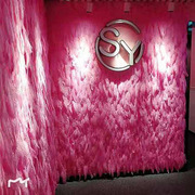 抖音羽毛花墙粉红色网红店铺拍照装鸵鸟植物墙背景花墙绿植鸟毛墙