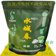 水城春茶叶炒青绿茶250克袋装口粮茶一级六盘水特产贵州名称