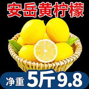 华秧安岳黄柠檬(黄柠檬)5斤新鲜水果当季现摘皮薄，一二级香水小青金桔柠檬