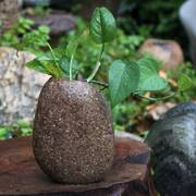 鹅卵石花盆天然石头花瓶，插花花器桌面笔筒创意，个性富贵竹盆原石