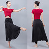 现代舞短袖舞蹈服女练功套装修身形体瑜伽表演莫代尔雪纺纱裙