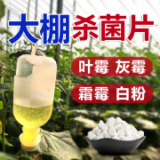 大棚空气杀菌消毒片大棚花卉蔬菜草莓杀菌剂农用叶霉灰霉霜霉白粉