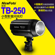 耐思TB250W摄影棚闪光灯影室摄影灯柔光套装拍照补光照相拍摄