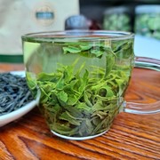 23年新茶叶湖北襄阳保康绿茶一级炒青雨前春茶高山云雾茶耐冲泡