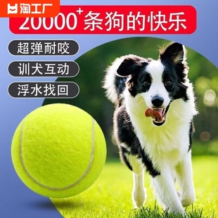 狗狗玩具球自嗨解闷神器宠物，边牧金毛柯基耐咬球训练磨牙网球橡胶
