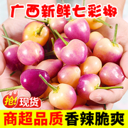 广西特产七彩椒10斤装新鲜辣椒可腌制五彩泡椒灯笼椒米椒蔬菜