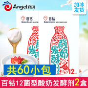 安琪酸奶发酵剂12菌60小包装家用自制益生菌粉，乳酸菌做酸奶发酵菌