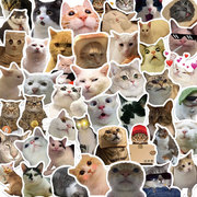 50张猫咪搞笑贴纸，日常笔记本电脑手机壳，ipad可爱行李箱贴画装饰