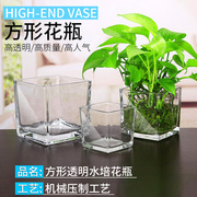 简约水培花盆玻璃器皿水养植物瓶透明花器绿萝白掌正方形花瓶容器