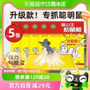 老鼠贴强力胶粘鼠板家用加大加厚捉粘大老鼠一窝端捕鼠神器5张装