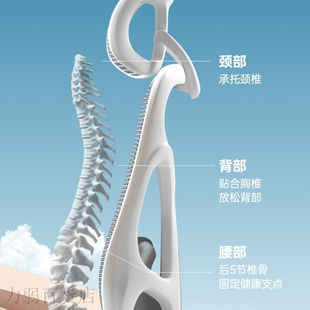 sitzone精一人体工学椅子可躺办公椅，腰靠护腰电脑椅，家用转椅升降