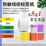 型标签适用精臣B11/B3s普贴PTC51DC德佟通信线缆标签机贴纸热敏纸p型25*38+40移动联通电信机房旗帜T型尾纤