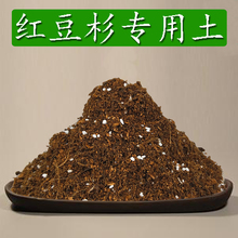 红豆杉专用土疏松透气酸性有机营养土椰糠通用型养花土壤进口