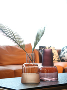 创意玻璃花瓶插花器摆件现代简约家居客厅样板房花艺软装饰品摆设