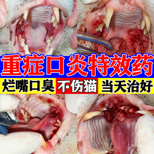 猫咪口炎特效药猫，杯状病毒治疗猫咪烂嘴流口水消炎喷雾去除口臭