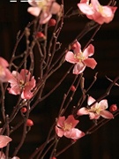 桃花落地干花树枝树枝，装饰干花枝干花花束真花干枝干花客厅装饰