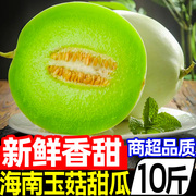 海南玉菇甜瓜10斤新鲜水果应当季香瓜蜜瓜冰淇淋脆甜密瓜整箱