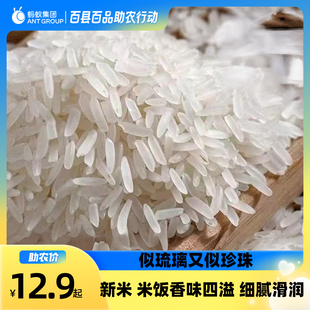 大米四川当季新米传统农业，种植农家大米真空包装送礼自用大米
