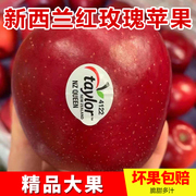 新西兰红玫瑰苹果进口Queen gala皇后甜新鲜水果当季送礼苹果