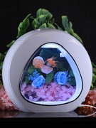 创意迷你水母缸过滤照明循环三合一小鱼缸桌面水族箱圣诞礼物