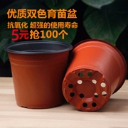 优质双色盆育苗盆一次性花卉育苗专用盆塑料扦插盆营养钵特价清仓