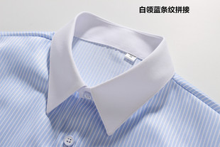 女式正装领白领蓝色条纹，长袖衬衫方领条纹，工作服职业装衬衣