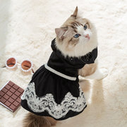 宠物猫咪公主风天鹅绒连衣裙，秋冬季衣服，银渐层布偶英短幼猫防掉毛