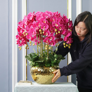 仿真花高档蝴蝶兰盆栽，装饰花艺摆件客厅，轻奢插花高端摆设假花