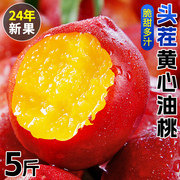 黄心油桃5斤大桃子，新鲜水果当季特级水密桃黄肉孕妇甜蜜脆桃9