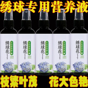 绣球花营养液专用免稀释液体肥料防闷根打蔫黄叶不开花催花延花期