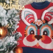 2023秋冬年货圣诞装中国风毛衣兔年大红套头针织衫国潮男女童