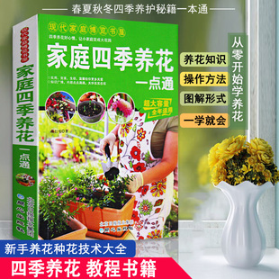 家庭四季养花一点通现代家庭博览书屋养花基础知识详解养花的技巧从零开始学养花在家里打造充满快乐的私人花园养花家庭必备工具书