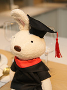 兔子布娃娃博硕士帽公仔毛绒，玩具毕业学士，服玩偶定制学校纪念