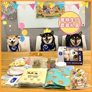 宠贝呗狗狗diy自制生日蛋糕，庆生派对场景布置宠物猫，生日礼盒