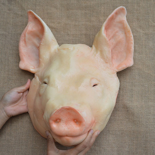 仿真生猪头模型白色猪头生，羊头祭祀牛头可食品模型道具