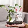 创意萌兔花盆办公家用桌面摆件绿萝水培器皿卡通个性装饰兔子花瓶