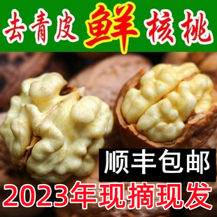 2023年新货去青皮核桃新鲜生绿皮去青皮湿鲜核桃，薄皮野生干核桃