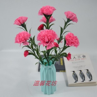 仿真康康乃馨假花装饰花简约摆放塑料丁香教师节母亲节送花