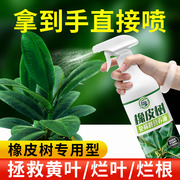 橡皮树专用免稀释营养液防黄叶增绿免酸性植物快速生根有机液体肥