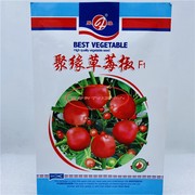 聚缘草莓椒辣椒种子高产抗病适合制干或泡椒菜园蔬菜种子包