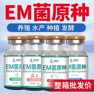 EM菌种原种水产养殖发酵浓缩乳酸菌液芽孢杆菌原种种植用