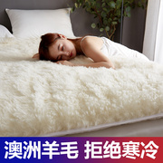 羊毛床垫软垫冬季加厚保暖床，褥子双人家用垫褥垫被单人羊羔绒垫子