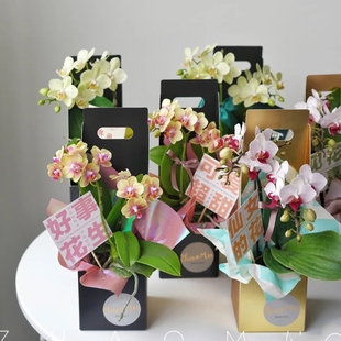 情人节花盒蝴蝶兰礼盒手提包装单支花束鲜花插花纸盒子母亲节