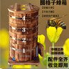 中蜂箱土养蜂箱圆格子，蜂箱加厚全实心实木圆桶，蜂箱圆蜂箱诱蜂圆箱