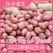 2023年小白沙生花生米剥壳花生种子五斤装新鲜现剥农家特产
