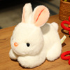 仿真兔子毛绒公仔可爱小白兔，玩具儿童玩偶礼物兔年吉祥物